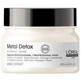 L´Oréal Paris Profesionalna zaštitna maska protiv naslaga, 250 ml | shoptok.hr