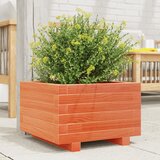 Maison Chic Vrtno cvetlično korito - Cvetlični Lonec vošč. rjavo 40x40x26,5 cm trdna borovina, (21790044) | Shoptok.si