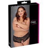 Cottelli Curves Crotchless Floral Lace Panties with Stimulating Pearls 2311020 Black L | Shoptok.si