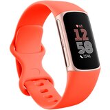 Fitbit Charge 6 AMOLED Wristband activity tracker Coral, Gold | shoptok.hr