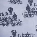 Jerry Fabrics Pamučna dječja posteljina za krevet za jednu osobu 140x200 cm Train – | shoptok.hr
