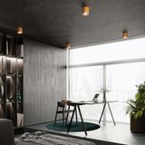  Stropna svetilka MIKA zlata, (21347952) | Shoptok.si