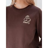 DStreet Bluza damska oversize z haftem CHERSOFT brązowa | Shoptok.si