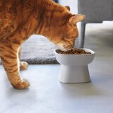 YAMAZAKI Keramička zdjela za hranu za ljubimce za kućne ljubimce Tower – | shoptok.hr