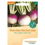  Majska repa "Blanc globe a collet violet" | Shoptok.si