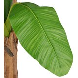  Umjetno drvo banane s lončanicom 250 cm zeleno | Eponuda.com