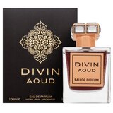 French Avenue Divin Aoud parfumirana voda unisex 100 ml | Shoptok.si