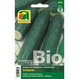 AUSTROSAAT Bio solatna kumara "Marketmore" Cene