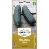  Kumara "le Généreux" Cene