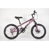 Winner Bike Dečiji bicikl 20” PURPLE | Eponuda.com