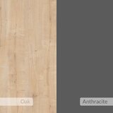 Livetastic Stenski Obešalnik Eleva, Barva Hrasta, Antracit | Shoptok.si