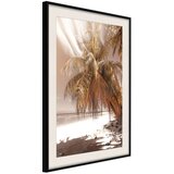  Poster - Paradise in Sepia 30x45 | shoptok.hr