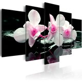  Slika - Rest of orchids 200x100 Cijene