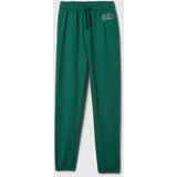 GAP Children's sweatpants Logo - Boys | Eponuda.ba