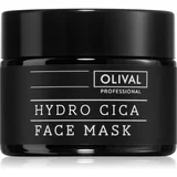 Professional Hydro Cica globinsko vlažilna maska 50 ml