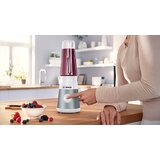 Bosch Blender MMB2111T | Eponuda.ba
