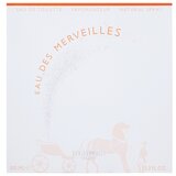 Hermès Toaletna voda Eau de Toilette Eau des Merveilles 100 ml | Shoptok.si