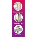  PET COMFORT Stub za grebanje za mačke sivi 40 × 40 × 62 cm | Eponuda.com