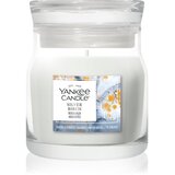 Yankee Candle Silver Birch mirisna svijeća Signature 110 g Cijene