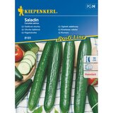 KIEPENKERL Sjeme povrća krastavac Saladin (Cucumis sativus, Berba: Lipanj - Listopad) Cijene