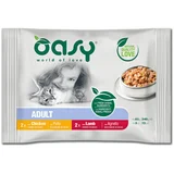 Chunks in Gravy Adult Multipack Meat Selection - 2 okusa - 4 x 85 g