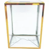 Clear Gold 4" zaštitna kutija za Funko POP! figure