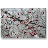  Slike na platnu drveće (moderne slike na platnu) | ePonuda.com