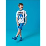 Sinsay Komplet od žerseja Sonic The Hedgehog | shoptok.hr