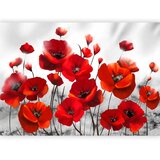  Foto tapeta - Poppies in the Moonlight 250x175 | shoptok.hr