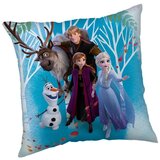 Jerry Fabrics Dječji jastuk od flisa Frozen "Family" – Cijene