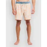 Ty Williams Boardshorts multi