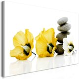  Slika - Calm Mallow (1 Part) Yellow 120x60 Cijene