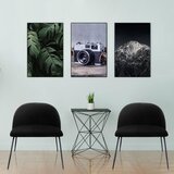 MID.YOU Stol Velvo, Črna | Shoptok.si