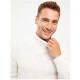 LC Waikiki Men's Turtleneck Long Sleeve Knitwear Sweater | ePonuda.com