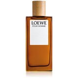 Loewe Pour Homme toaletna voda za moške 100 ml Cene