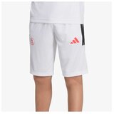 Adidas Ly hot sho y Cene