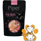 Cat Sauce Salmon 100g, Vlažna Hrana Sa Lososom u Sosu Za Hidrataciju