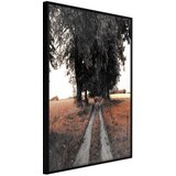  Poster - Field Path 30x45 Cijene