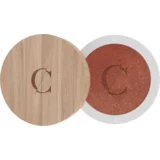 Couleur Caramel "Sunkissed" sjenilo za oči - 154 Terracotta