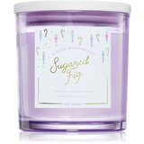 DW Home Winter Wonderland Sugared Fig mirisna svijeća 374 g | shoptok.hr