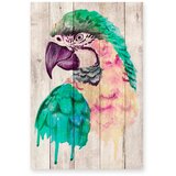 Madre Selva zidna dekoracija od borovog Watercolor Parrot, 60 x 40 cm Cijene