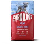 Carnilove Dog Active Junior Large, briketi - losos in puran 4 kg | Shoptok.si