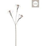  Novogodišnj cvet - SPRAY 75cm 1164936 - Brown - EDL | ePonuda.com