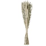 Eglo living suvo cveće, zelena Caraquet 428069 | ePonuda.com