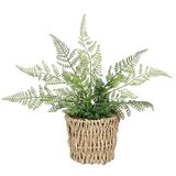  Umjetna biljka Paprat (Visina: 26 cm, Plastika, Tamno zelena) Cijene