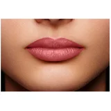 Rouge Color Riche Satin 110 Made in Paris Satin