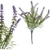 Mondex cvetna vejica plastika Viridis Lavanda 36cm vijolična 1kos, (5000301162) | Shoptok.si