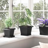  Kvadratna posuda za cvijeće 24 pcs Crna 15 x 15 x 2 cm Plastika | shoptok.hr