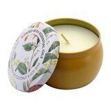  Ukrasna mirišljava sveća SCENTED TIN CANDLE Cene