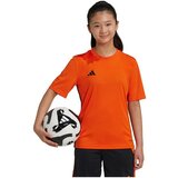 Adidas JJ1157 sarena | shoptok.hr